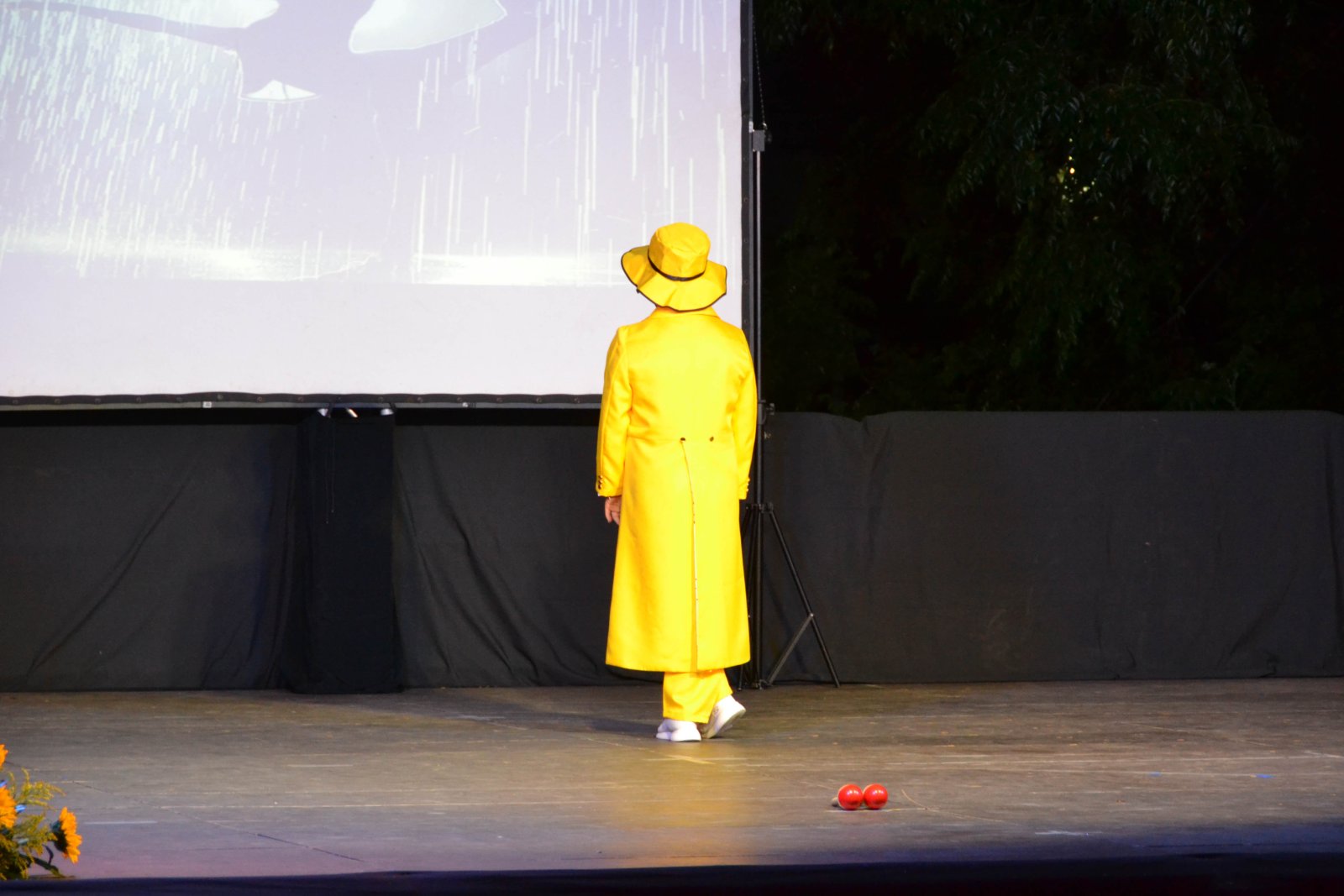 DSC-116