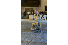 IMG_0037