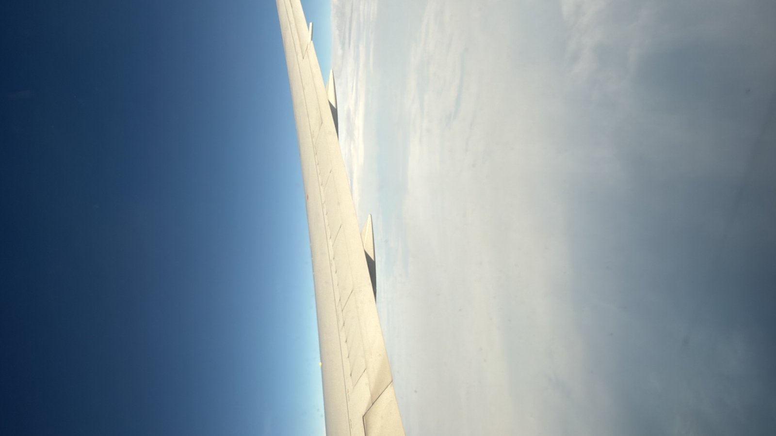 29EE411E-D332-4B06-8A7A-95DC81BBA73E