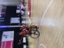 Para Dance Sport Polish Open 2021