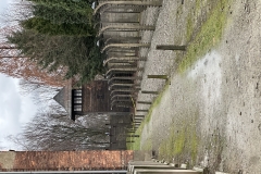 IMG_9609